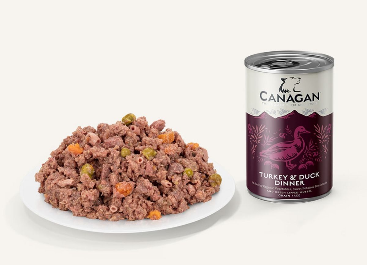 Canagan Turkey &amp; Duck Dinner For Dogs 400g