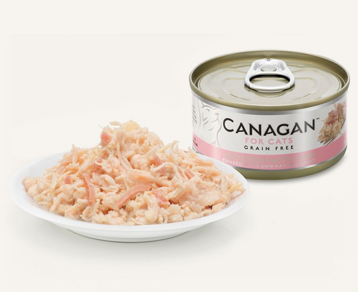 Canagan Chicken With Ham - Cat Can 75g