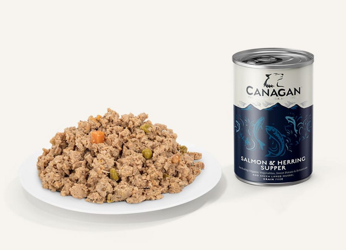 Canagan Salmon & Herring Supper For Dogs 400g