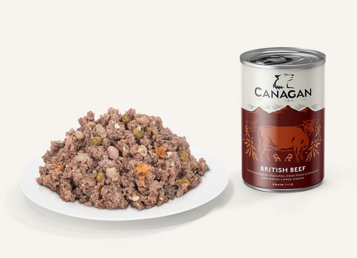 Canagan British Beef For Dogs 400g 
