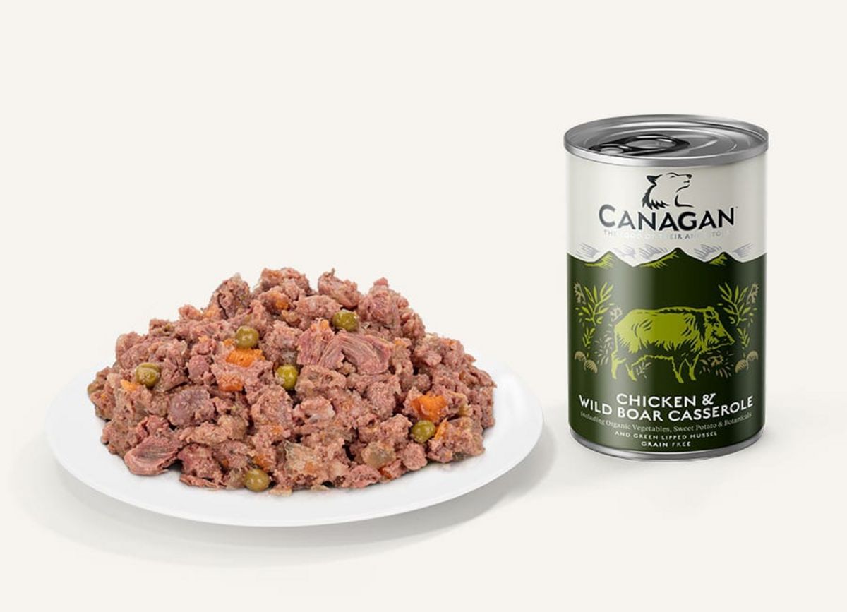 Canagan Chicken & Wild Boar Casserole For Dog 400g