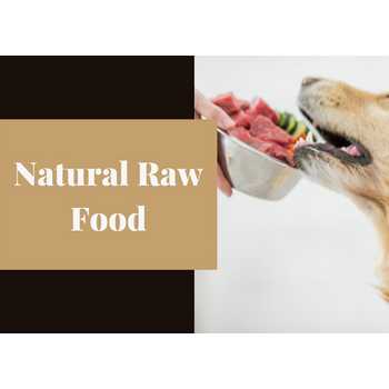 Natural Raw Food