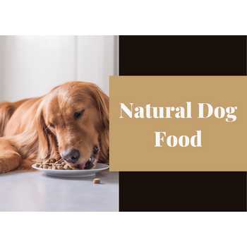 Natural Dog Food