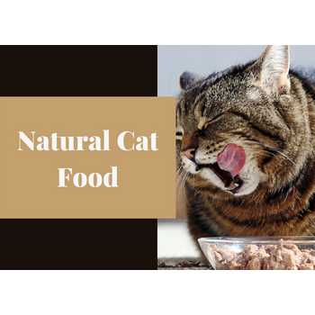 Natural Cat Food 